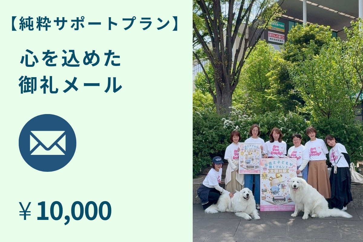 がっつり応援プラン